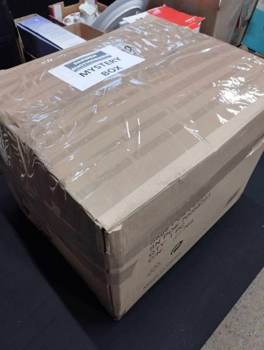 Lot 131: A Large Mystery Box ???