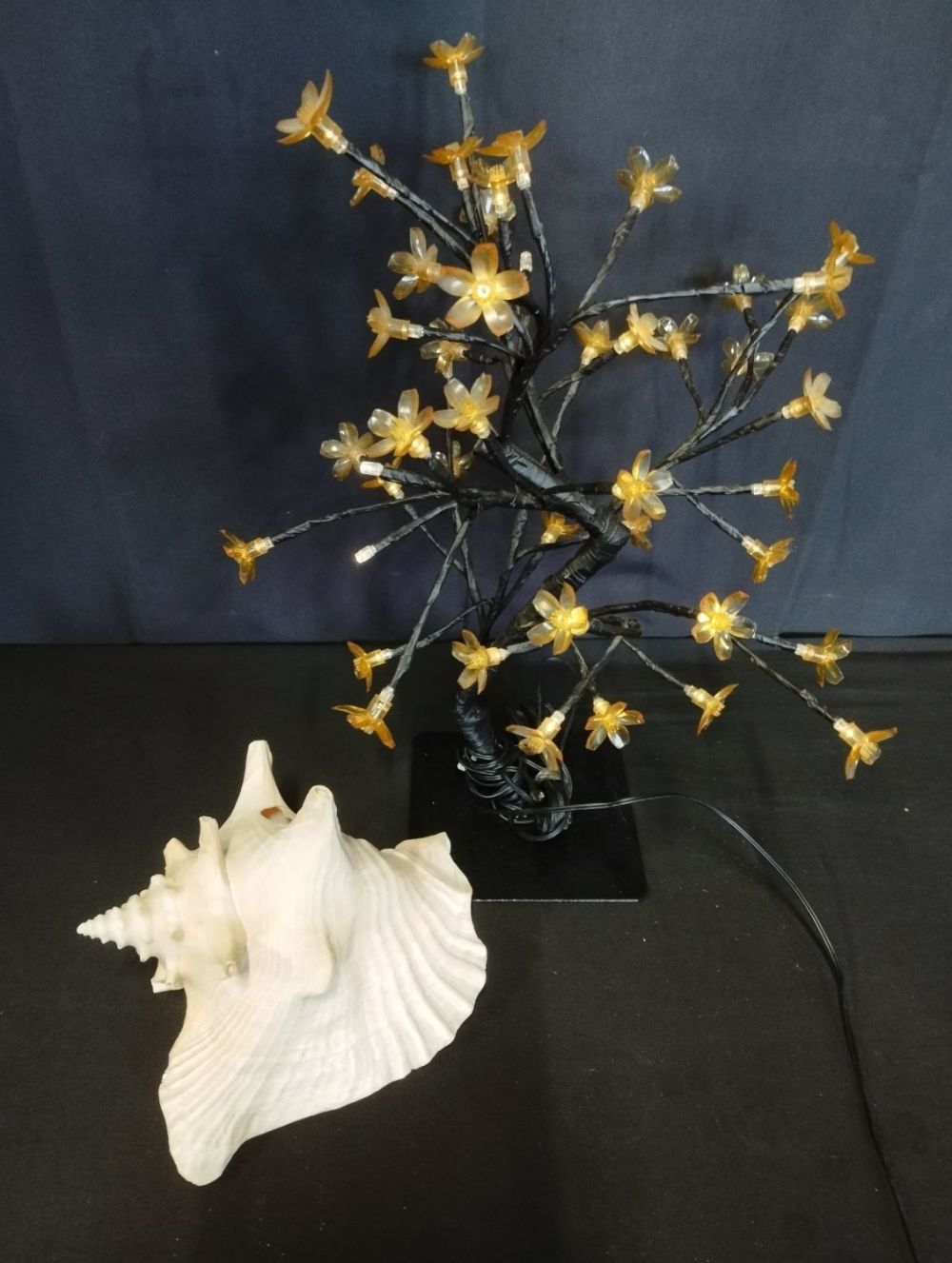 Lot 286: Light Up LED Decorative Tree and Sea Shell