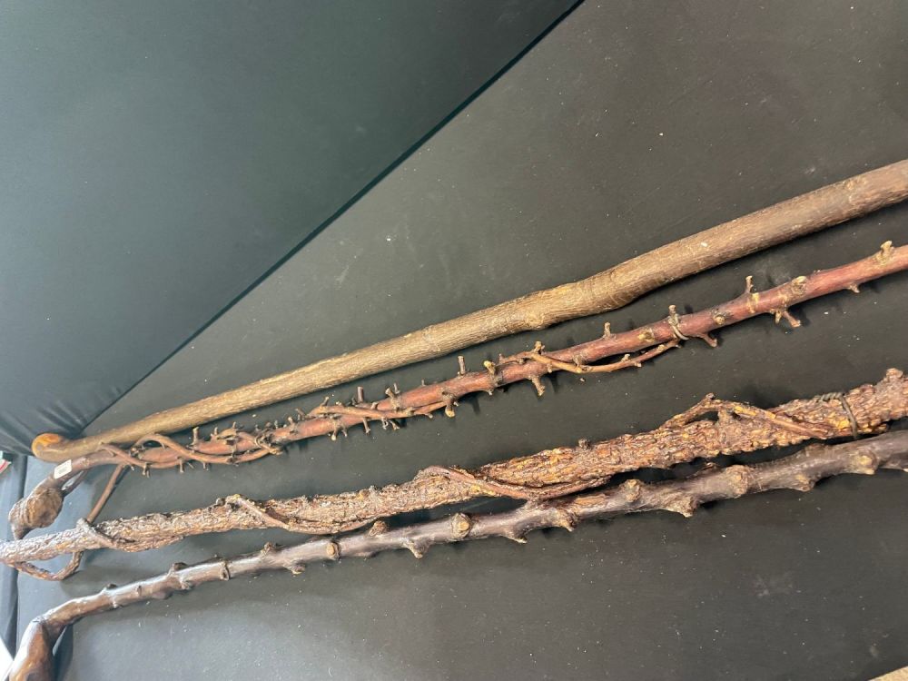 Lot 71: Selection Of Wooden Walking Canes