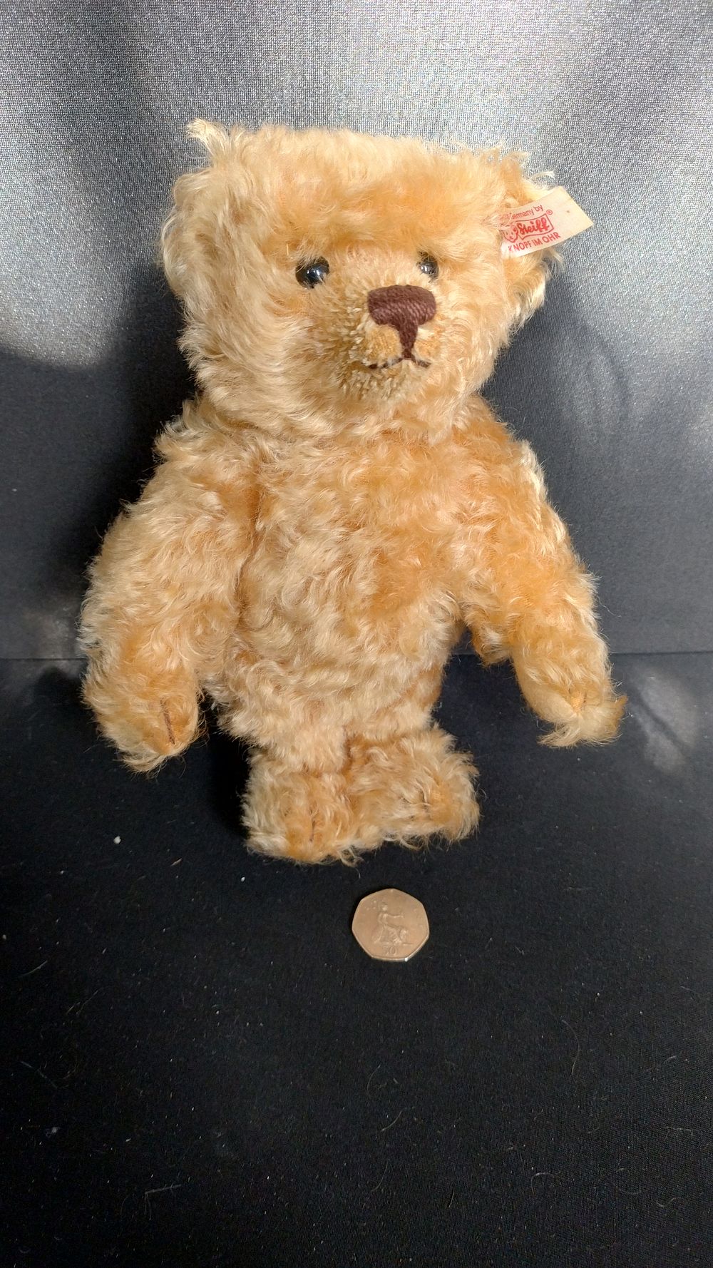 Lot 295: Mid 20th Century Steiff Bear with Label 9.5...