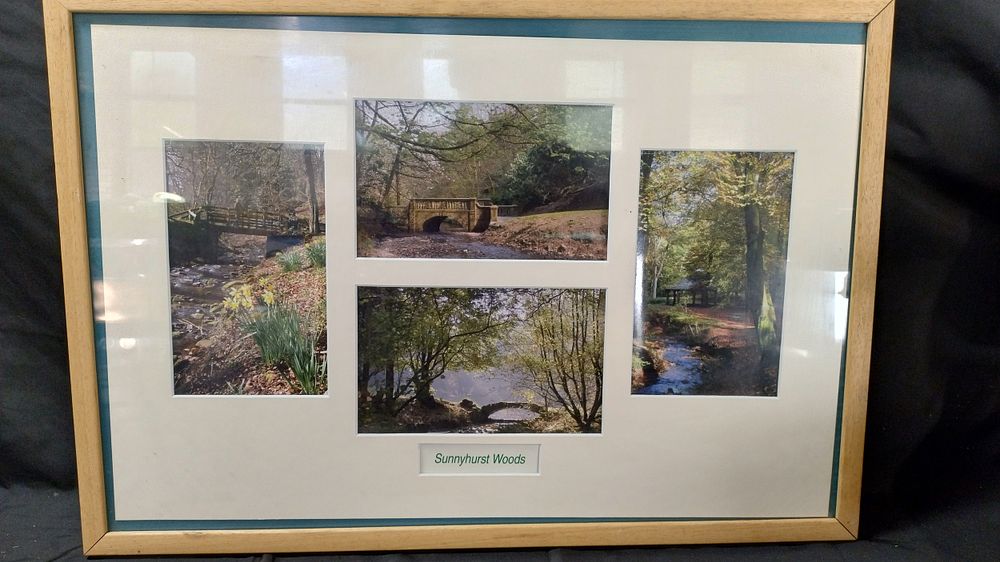 Lot 316: 4 Framed pictures of sunnyhurst woods in one...