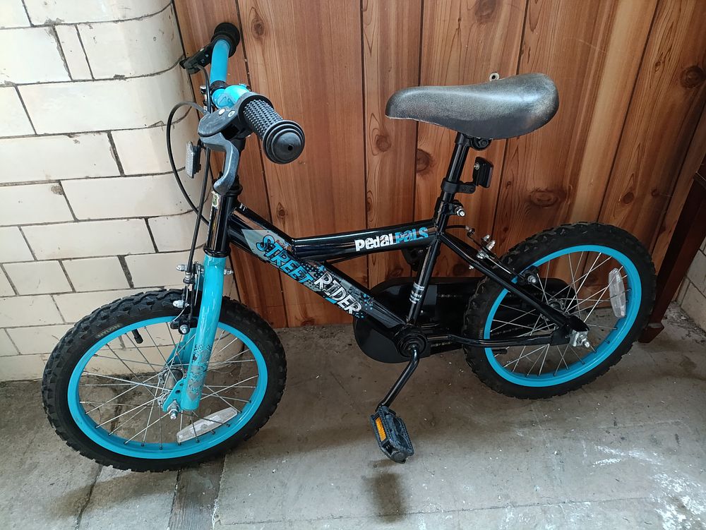 Lot 390: Pedal pals street rider childrens bicycle