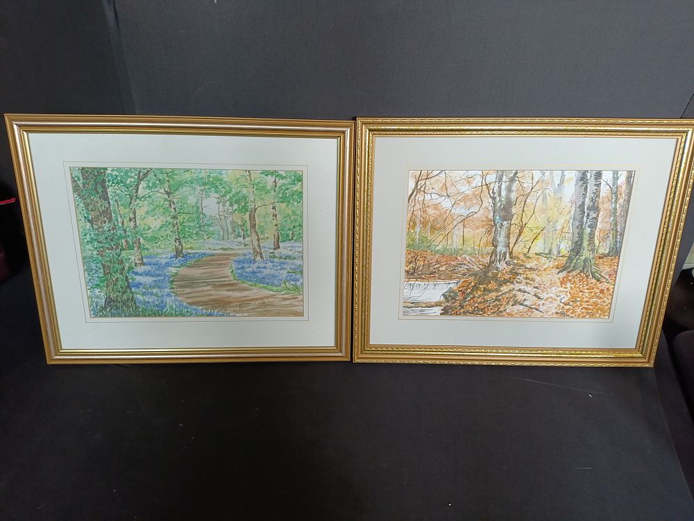 Lot 215: Two watercolour nature paintings approximately 50x40cm, signed M....