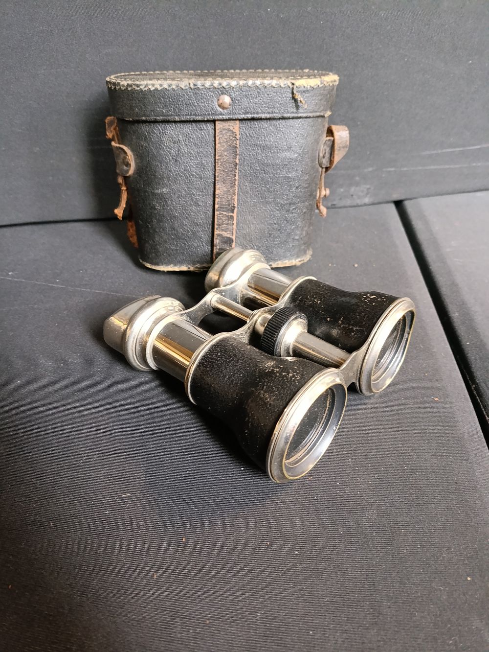 Lot 236: Vintage racing binoculars in case