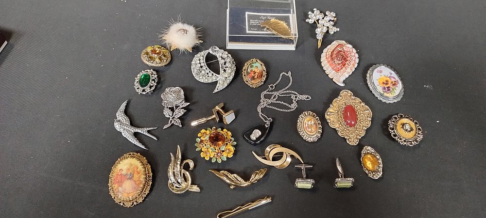 Lot 193: Various costume jewellery brooches, Necklace and other items