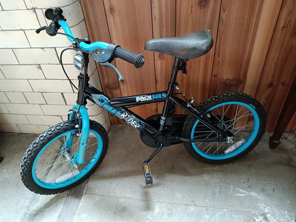 Lot 338: Pedal pals street rider childrens bicycle