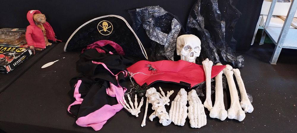 Lot 297: Selection of Halloween, glitter bat wings, cape skeleton...