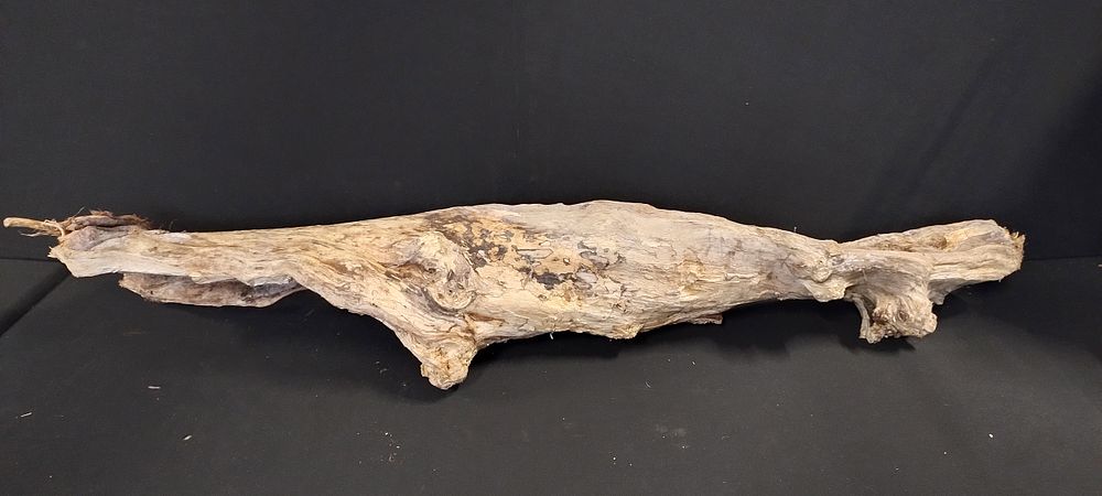 Lot 102: Long piece of driftwood measures approx H 30...
