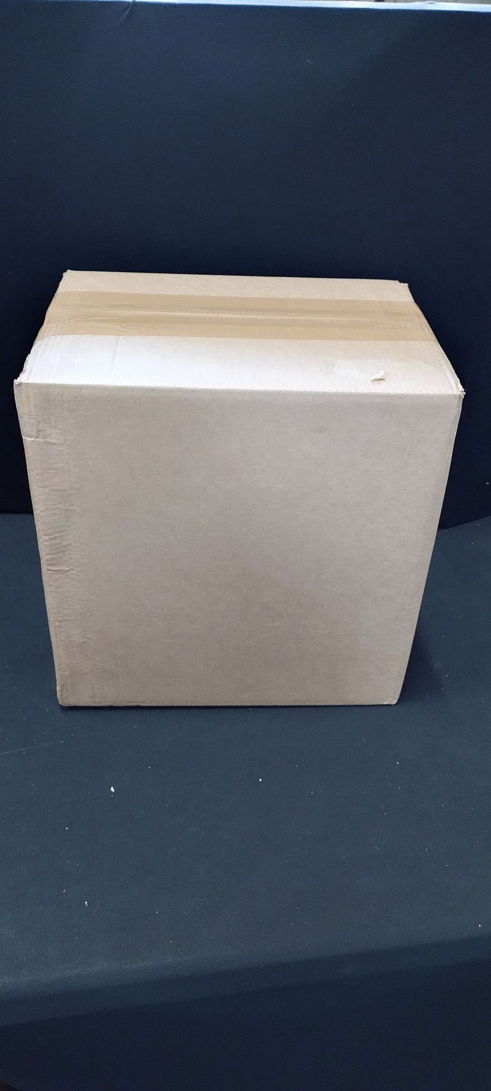 Lot 511: Mystery box