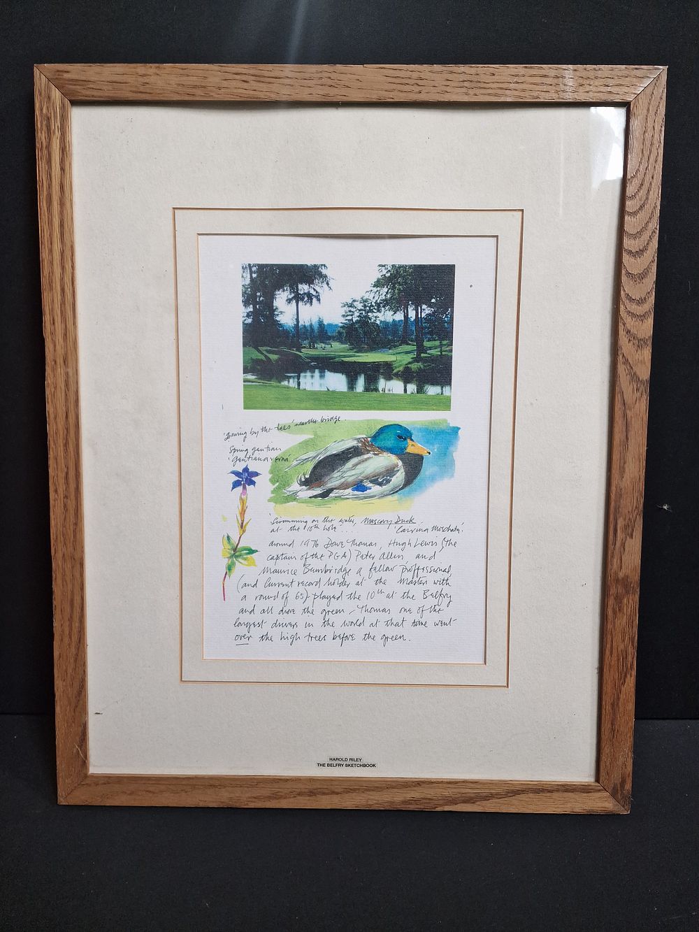 Lot 189: Framed Golfing Print from Harold Rileys Belfry Sketchbook