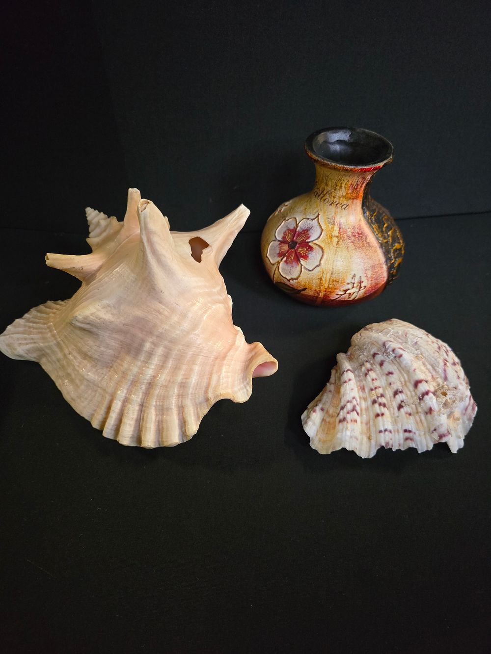 Lot 258: Decorative Seashells and Vases