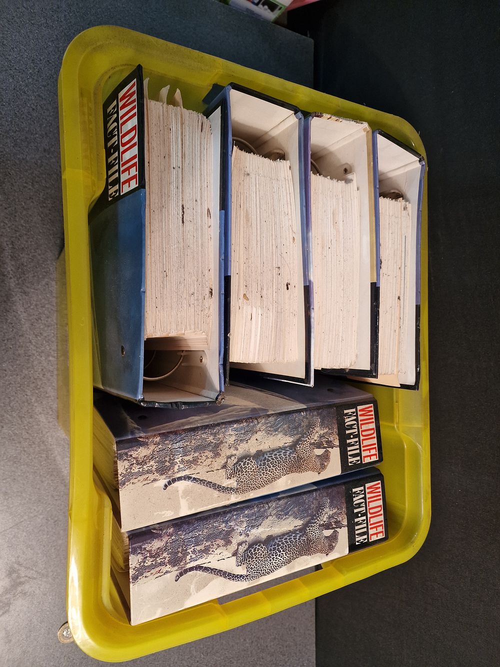 Lot 187: Six Wildlife Fact File Folders
