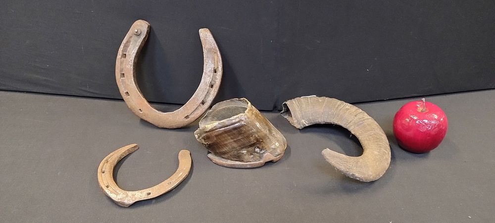 Lot 227: Horse hoof, horse shoes, and a rams horn