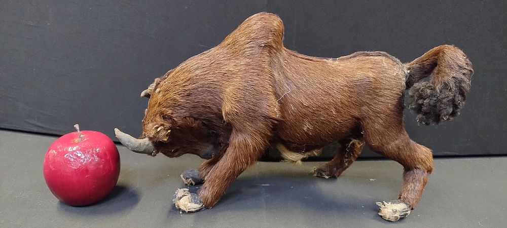 Lot 228: Vintage Fur covered bull. Measures approx H 20.5...