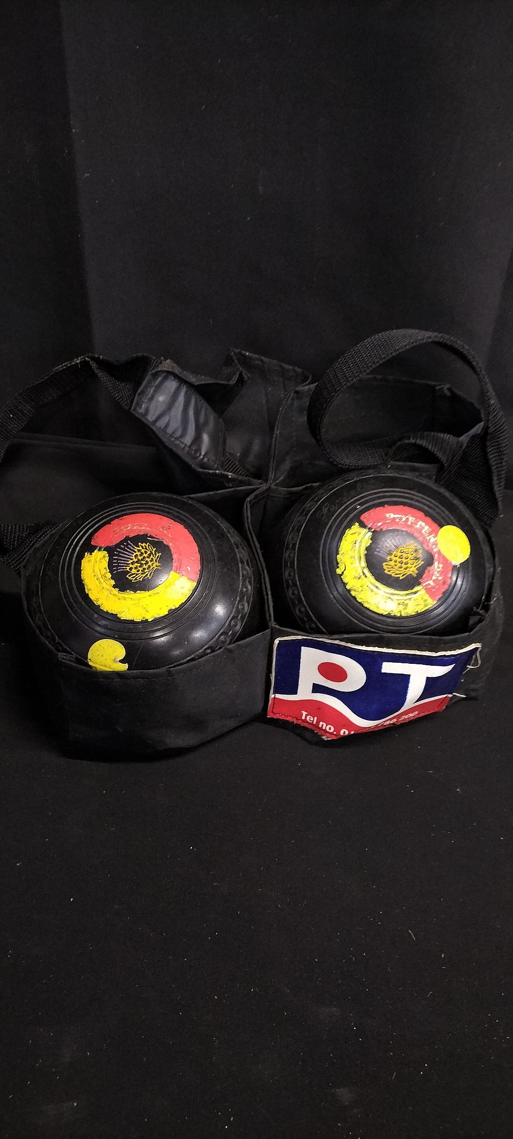 Lot 225: Two lawn balls and carry pouch