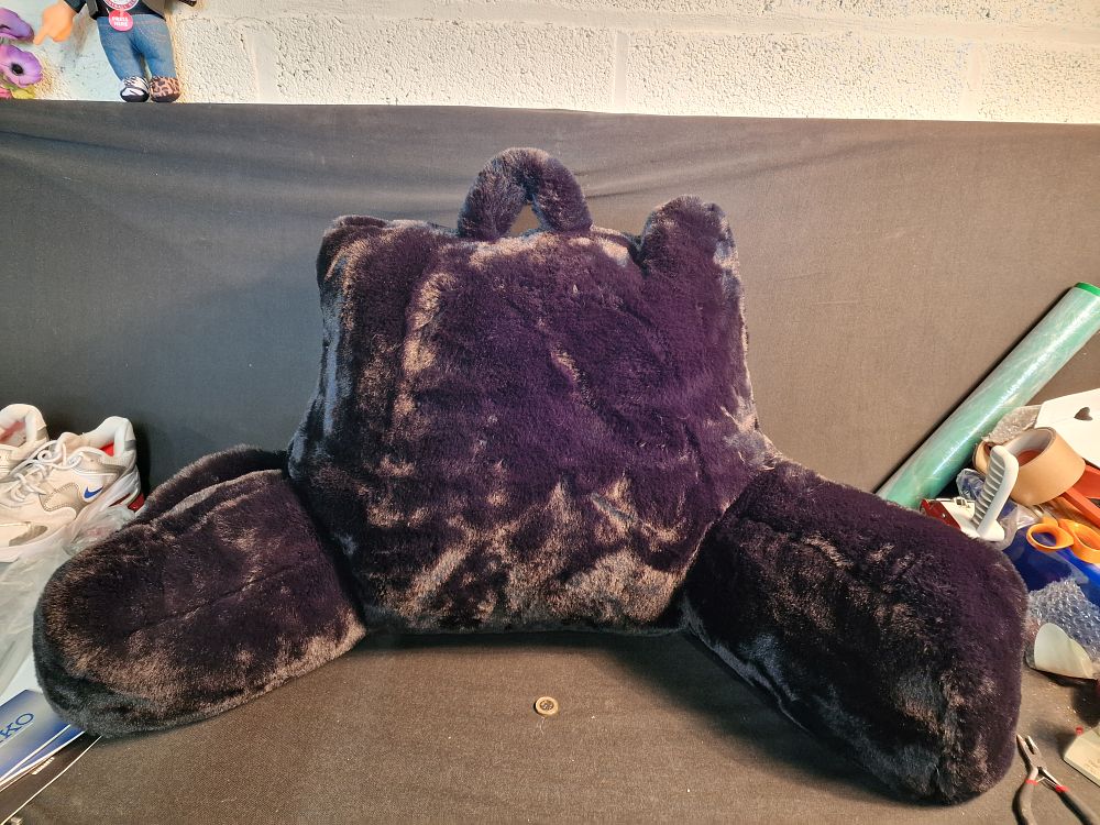 Lot 211: Bedtime Reading Pillow