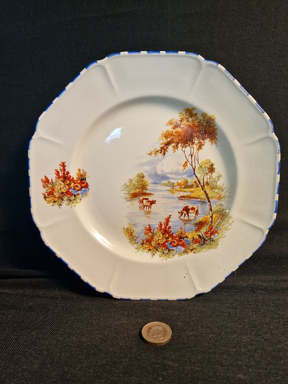 Lot 236: Vintage Parrott and Company Decorative Coronet Ware Plate