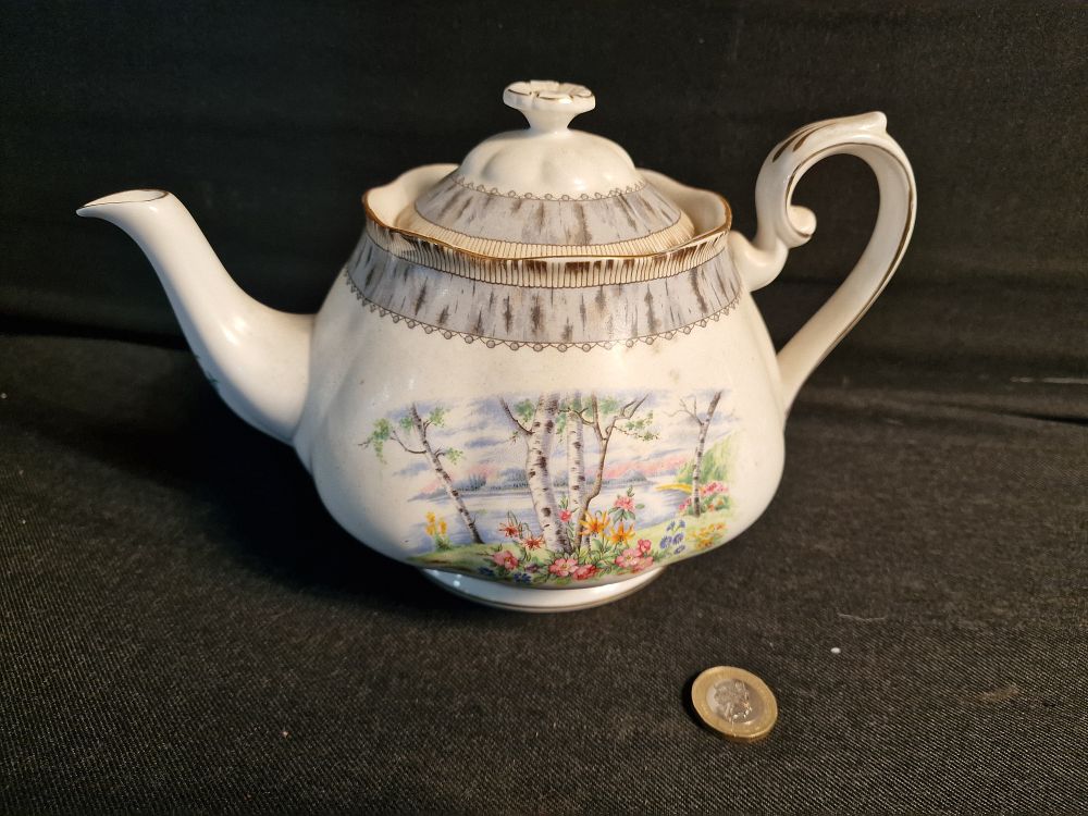 Lot 250: Vintage Royal Albert Bone China Silver Birch Tea Pot