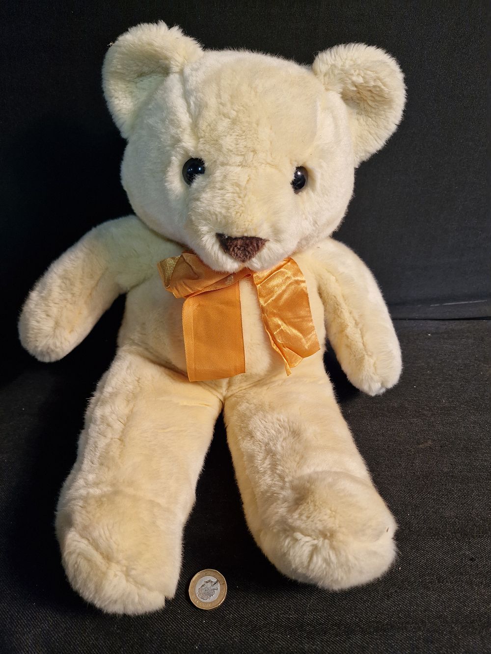 Lot 260: Teddy Bear in Need of Loving Home
