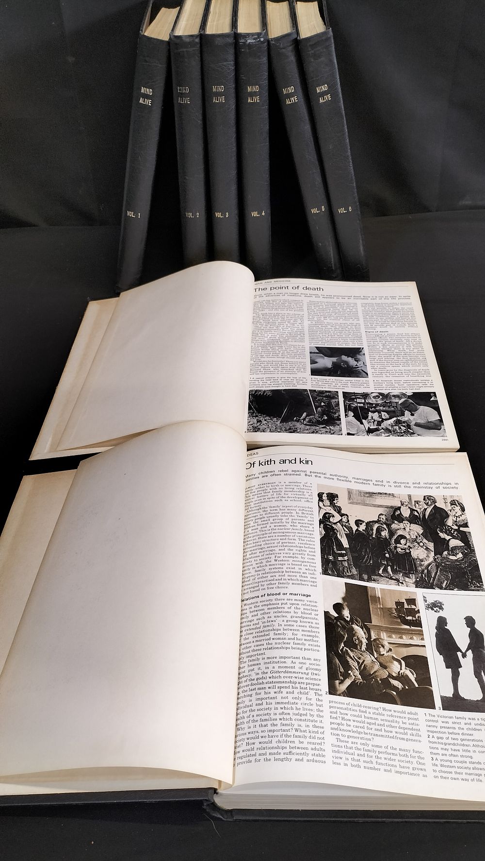 Lot 766: Mind Alive books vol 1-8