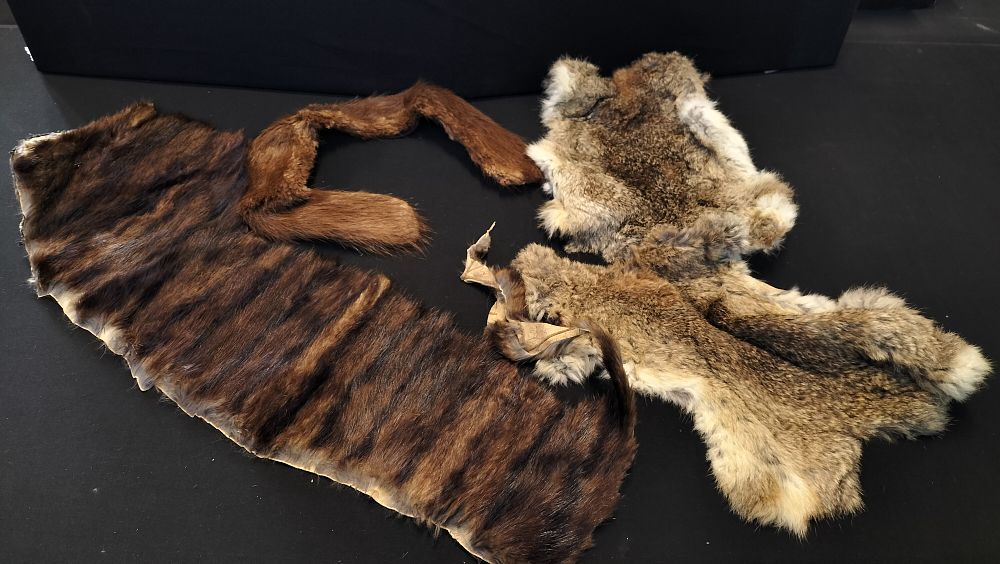 Lot 399: 4 Various Fur Pelts 