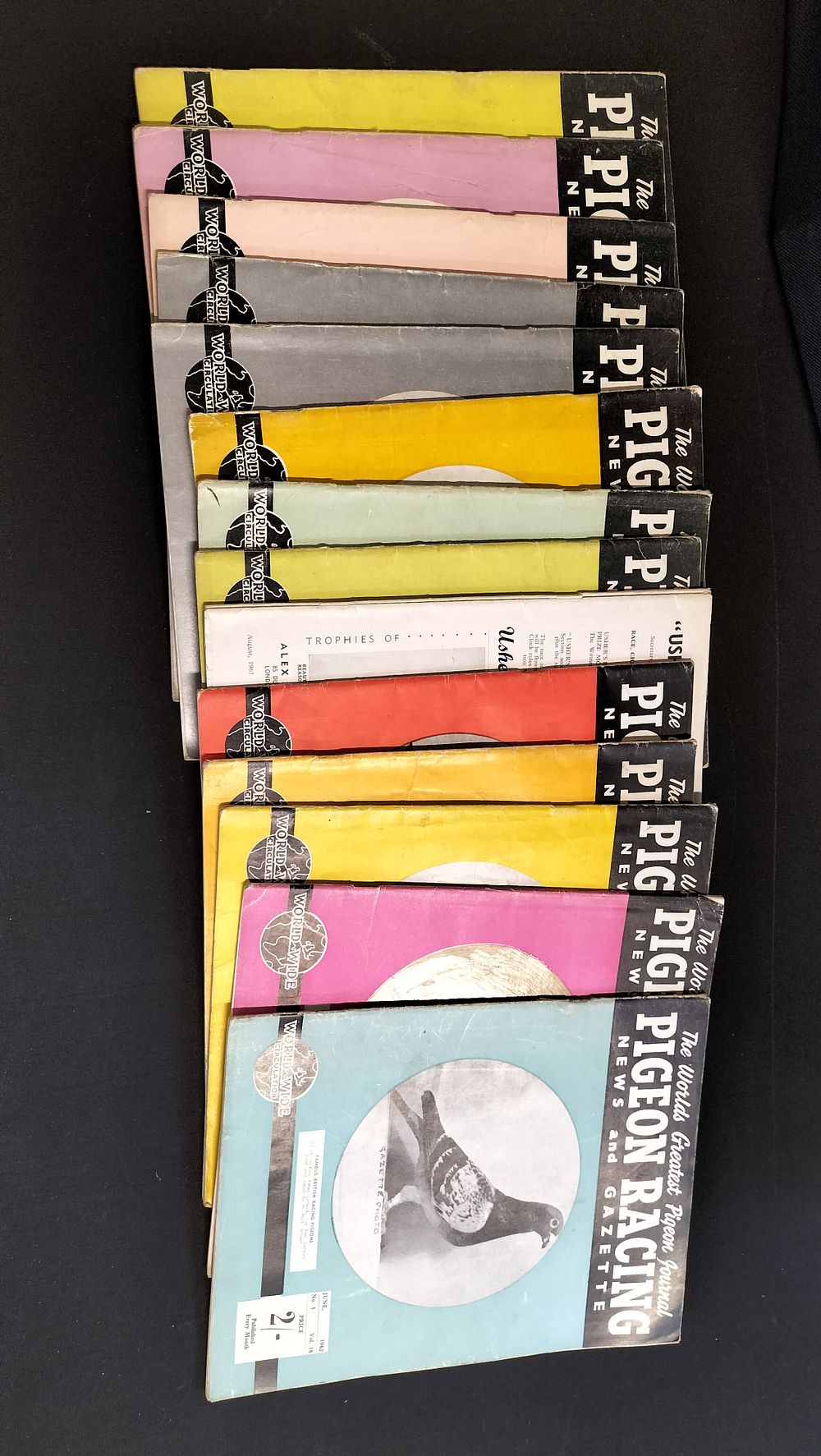 Lot 583: 14 Copies of Pigeon Racing 