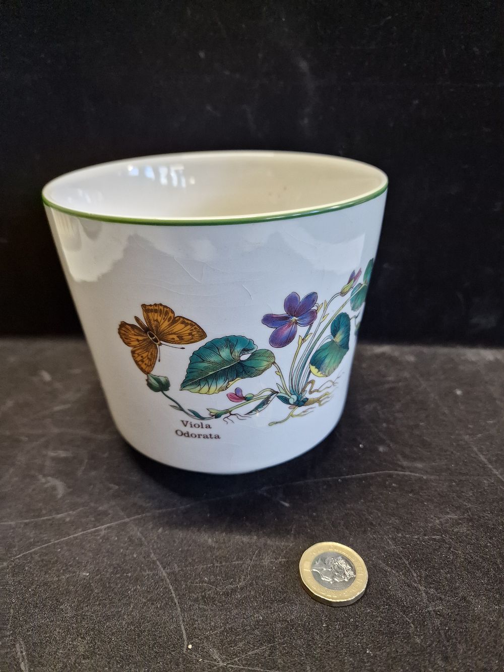 Lot 701: Florabunda Decorative Plant Pot