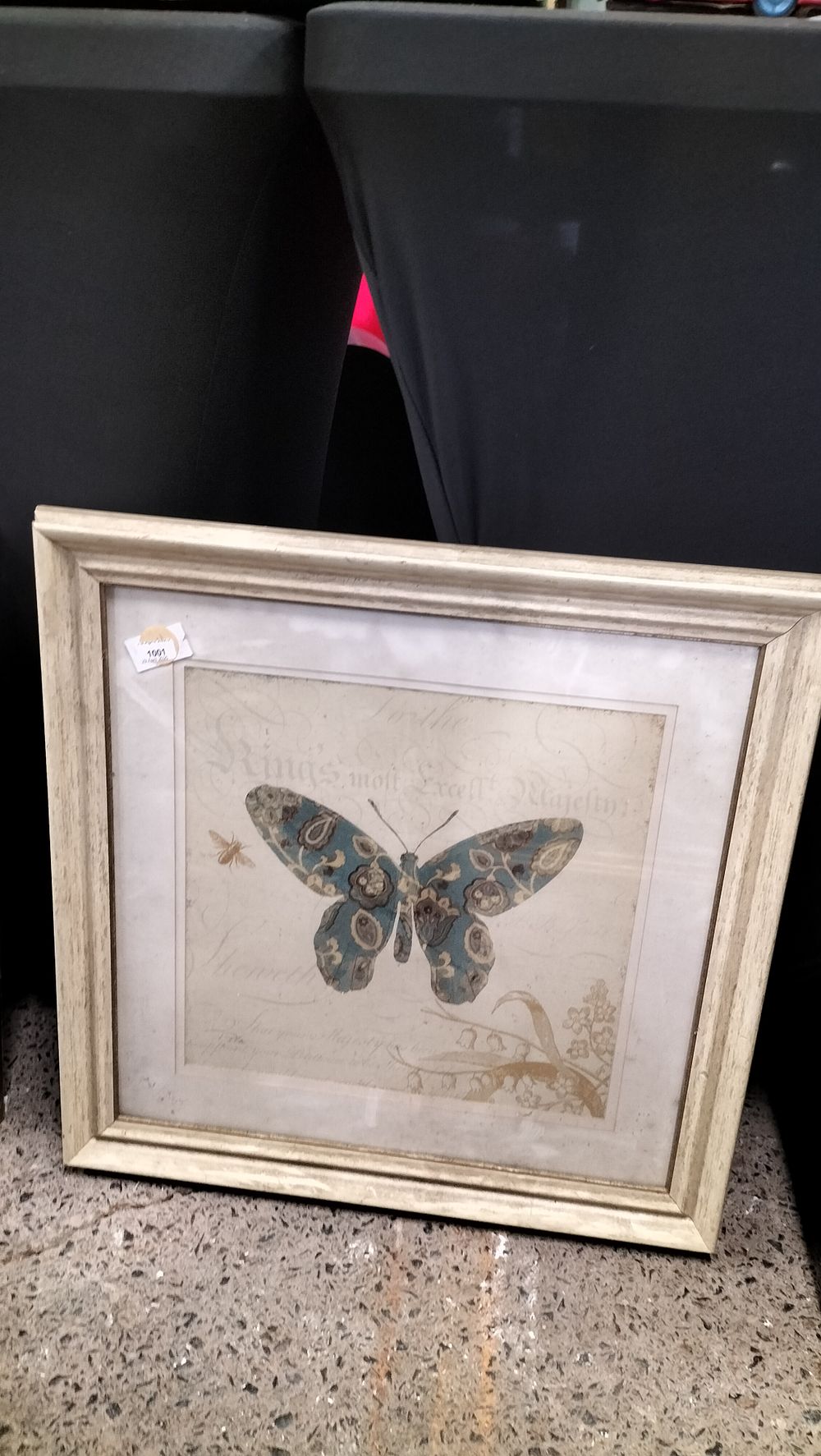 Lot 310: Framed Butterfly Print. Measures approx 48 x 48...