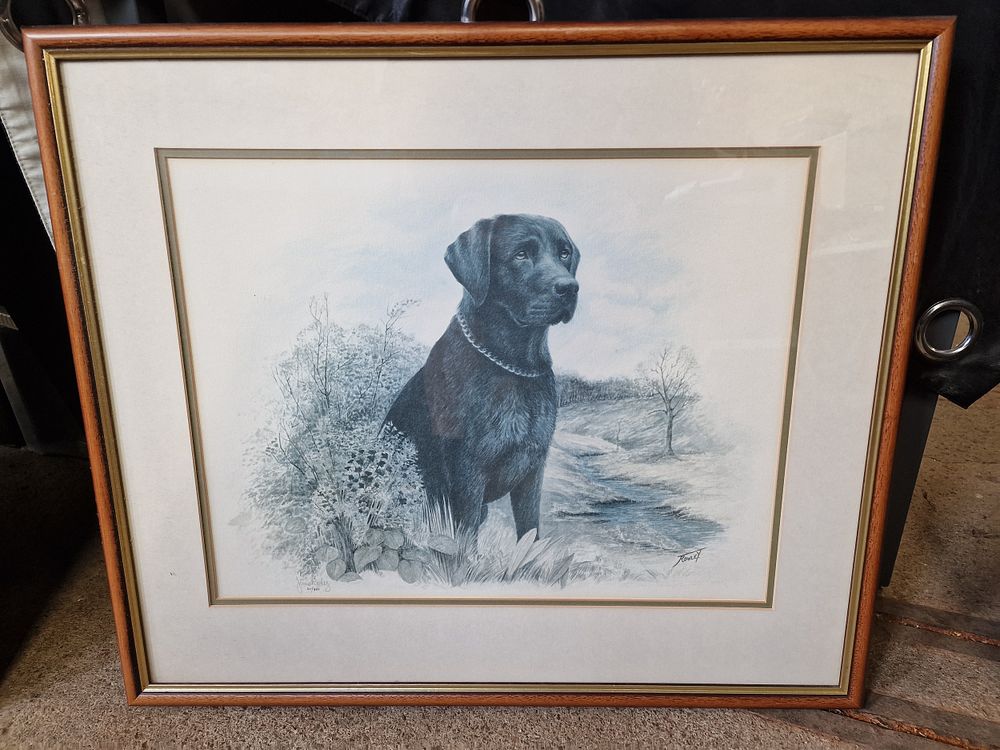 Lot 677: Signed Framed Limited Edition Print of Good Dog...