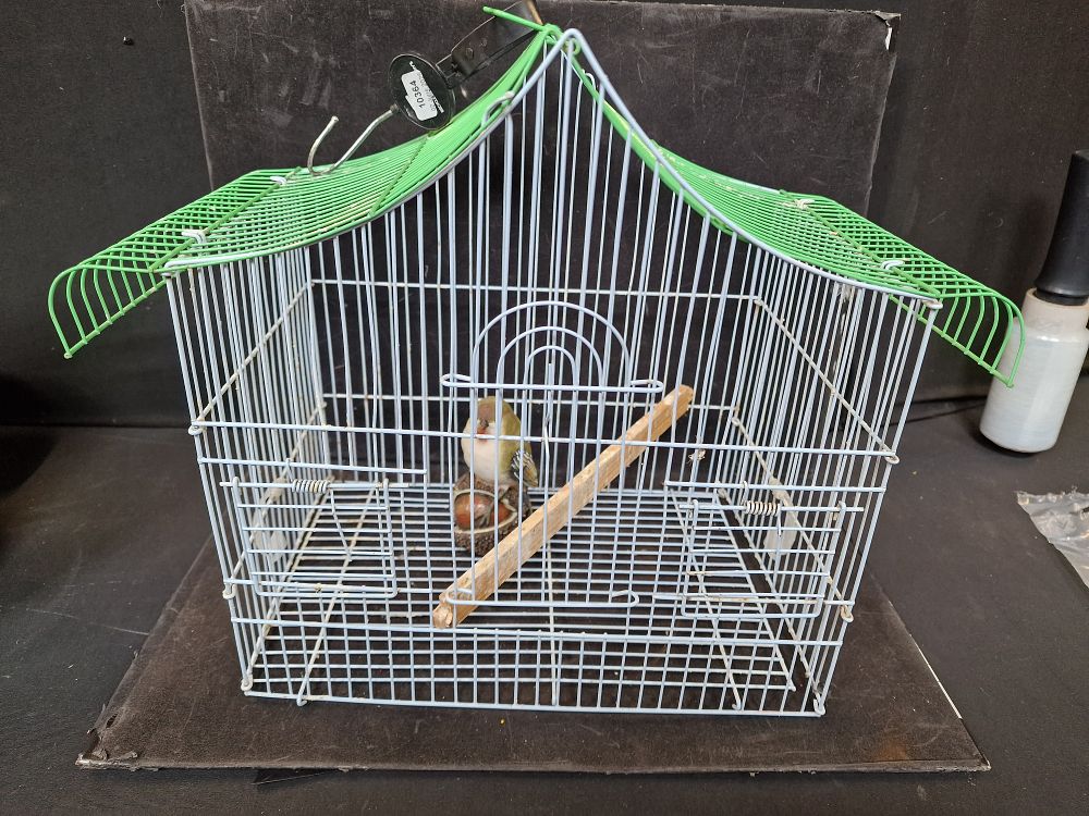 Lot 671: Bird Cage and Bird Ornament