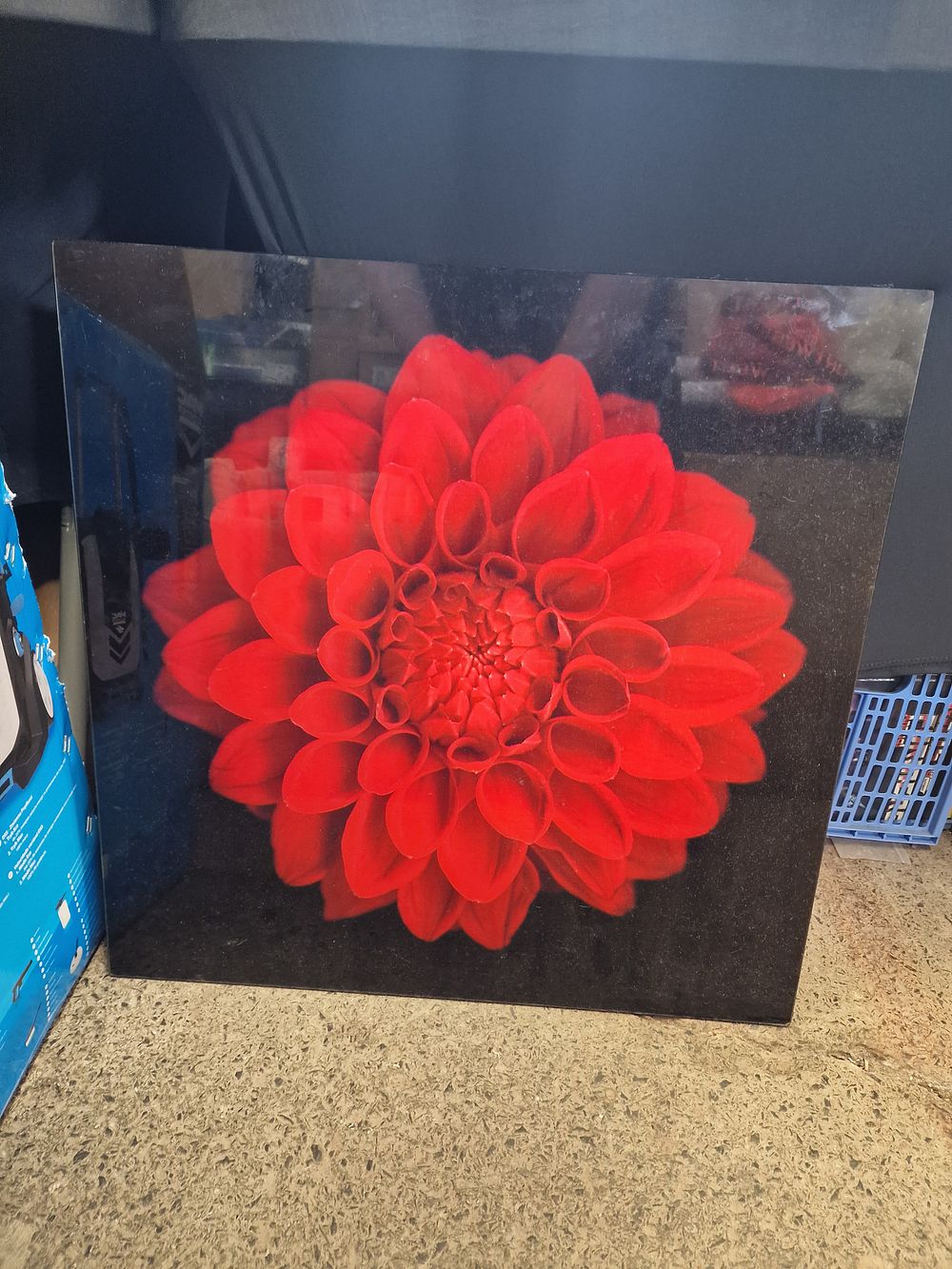 Lot 730: Glass Wall Mounted Flower Decoration COLLECTION ONLY Approx 60x60cm
