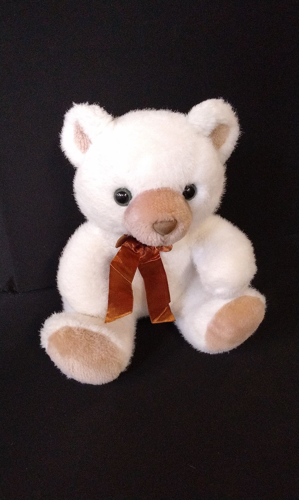 Lot 635: Teddy