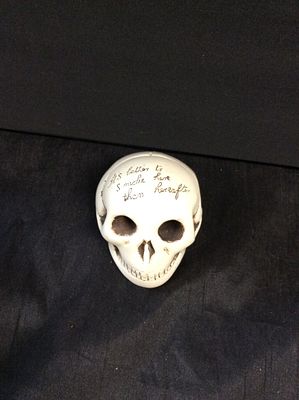 Vintage Chalkware ashtray Skull. It’s better to smoke here than the hereafter
9.5 cm length
