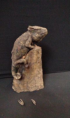 Wooden Statue of a chameleon. In Need of Some TLC. Measures Approx H35 X W18 x D13 cm
