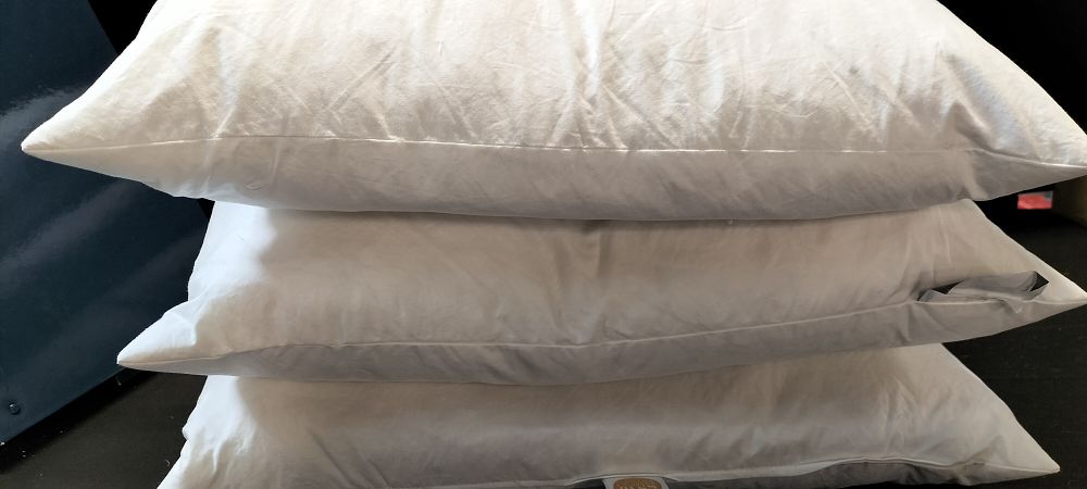 Lot 277: Three John Lewis Duck Feather Pad 50 x 50cm