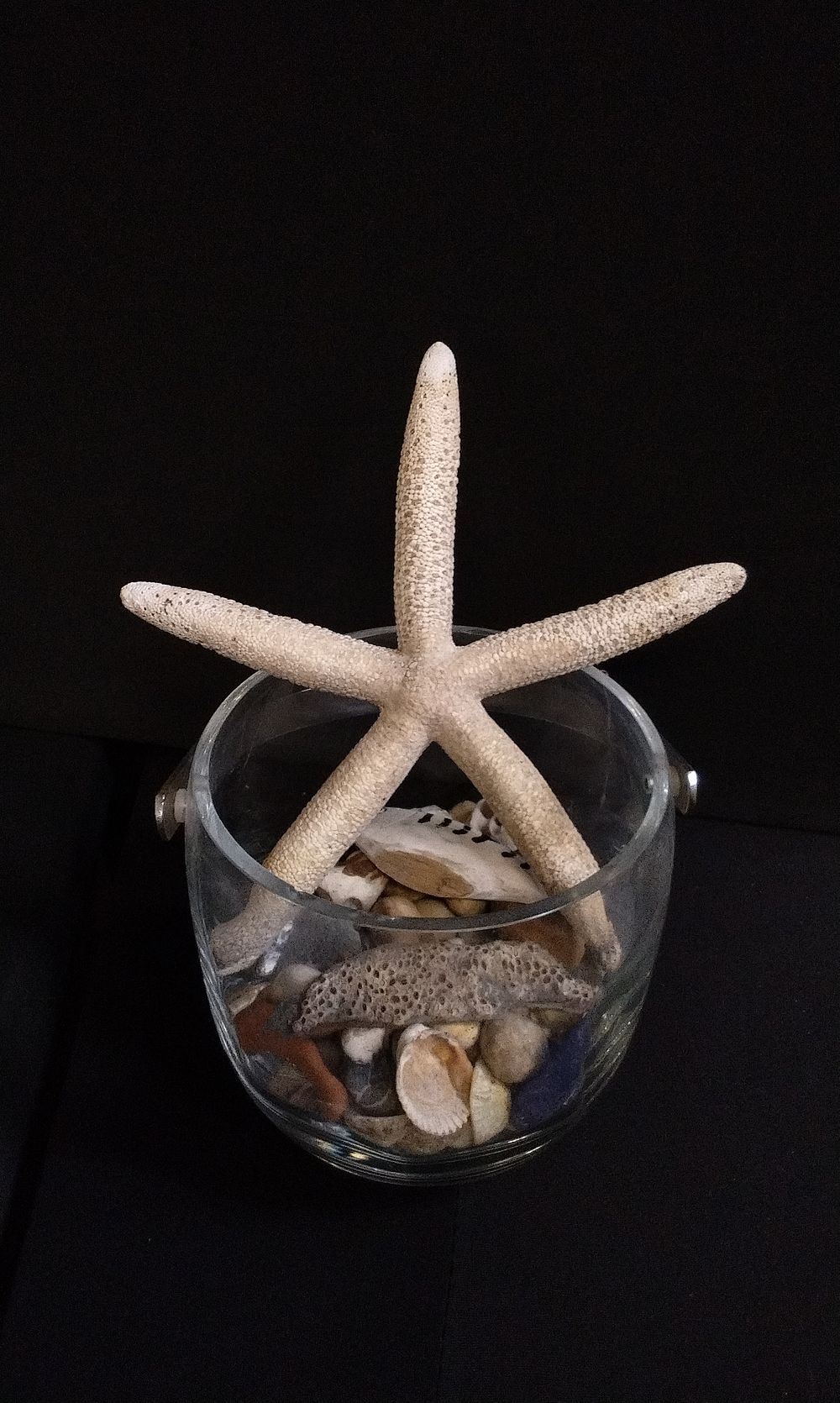 Lot 329: Glass Jar with Mixed Sea Side Findings