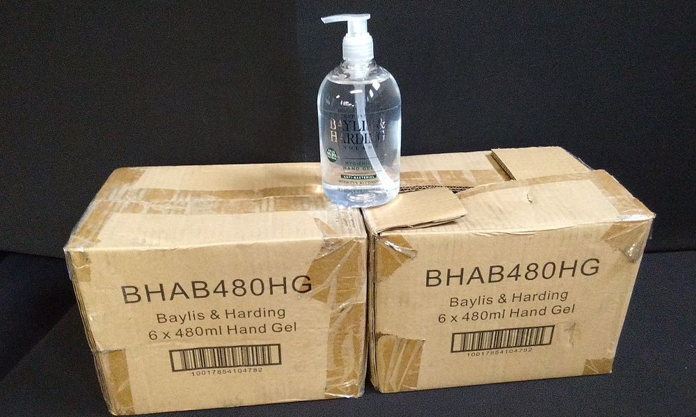Lot 445: 2 x 6 480ml Baylis and Harding Hygienic Sanitizing Hand Gel