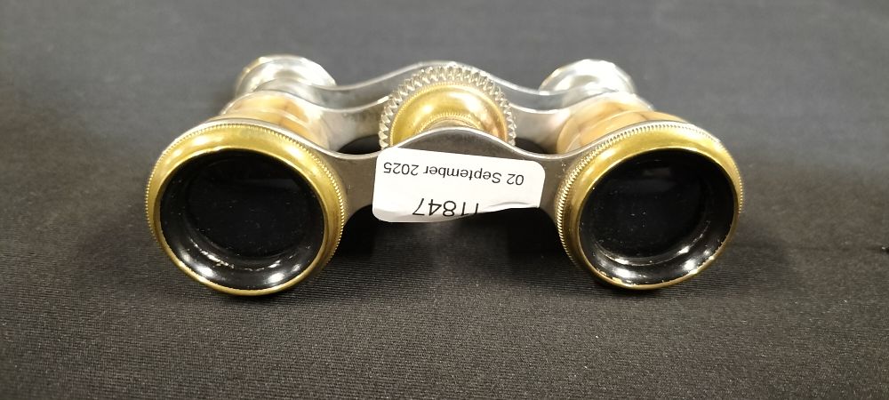 Lot 292: Vintage Mother of Pearl Children's Opera Glasses