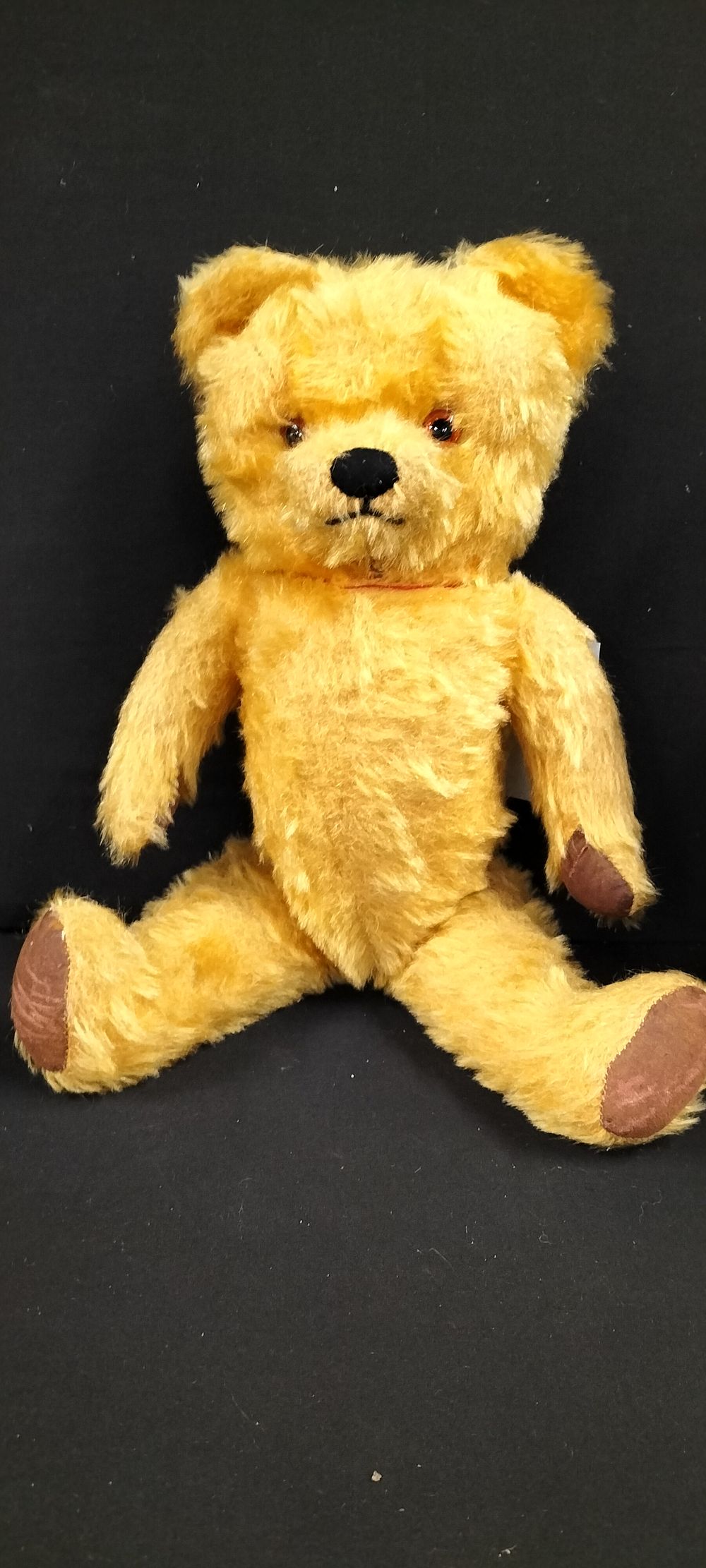 Lot 462: 15" Musical Bear by Tara Toys