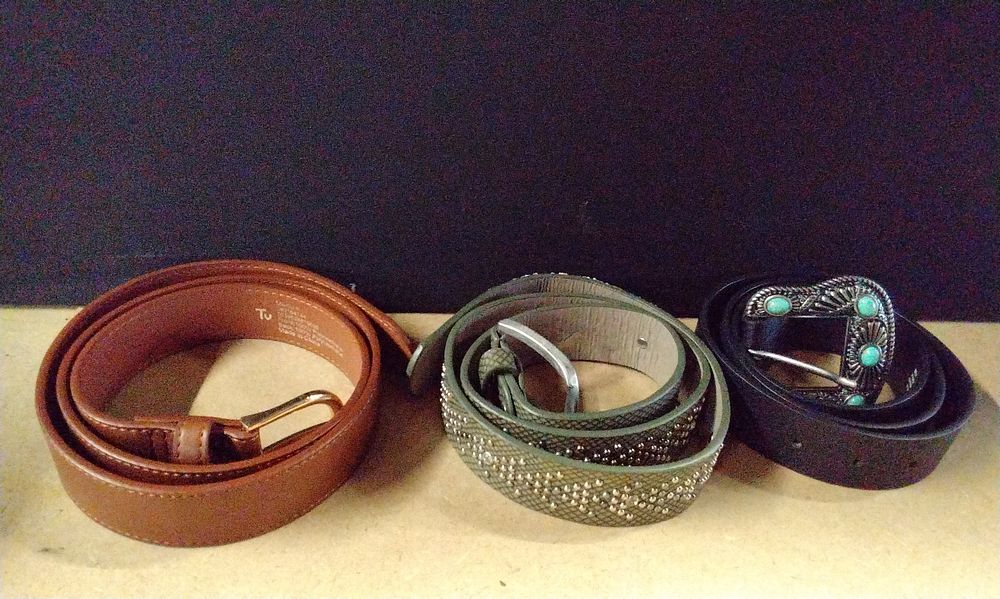 Lot 362: Three Modern Fashion Belts. Sizes M & L