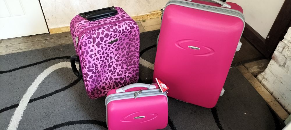 Lot 791: Three Pink and Purple Luggage Pieces