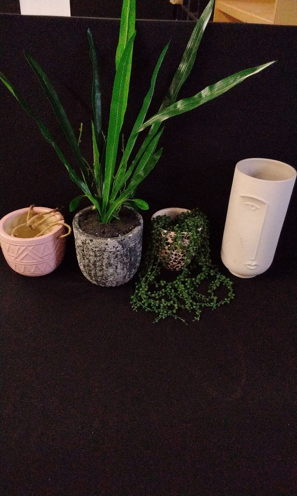 Lot 270: 4x mixed Immitation Plants in 2 Pots and 2x Empty Plant Pots