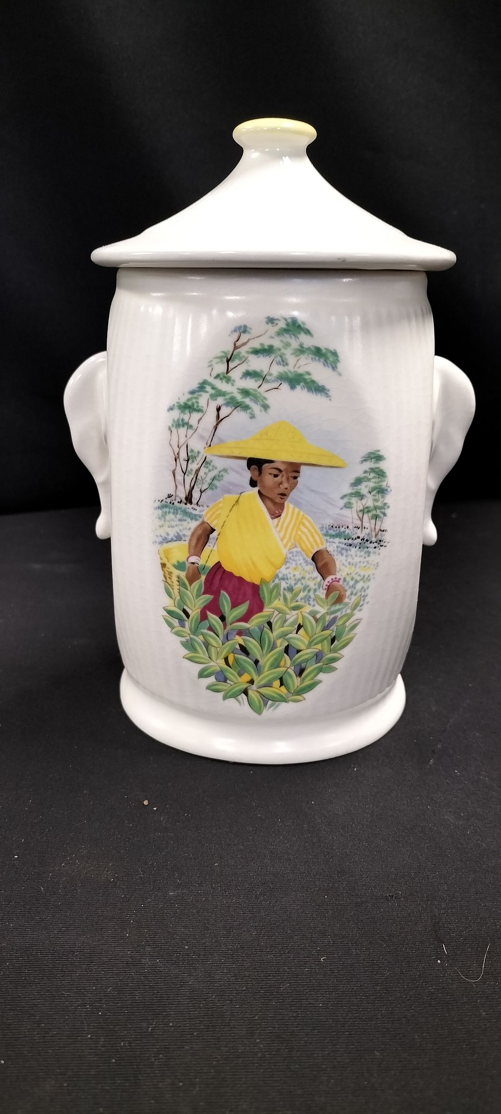 Lot 339: A Vintage SylvaC Ware Tea Caddy