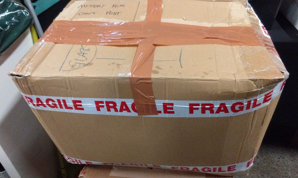 Lot 659: Mystery Box. Your Guess is as Good as Mine as to what is inside