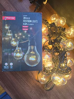 20 bulb festoon lights 9.5m lit length