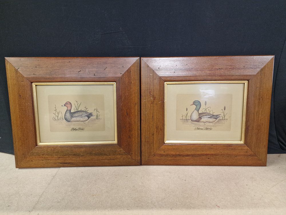 Lot 364: A Pair of Framed Duck Prints