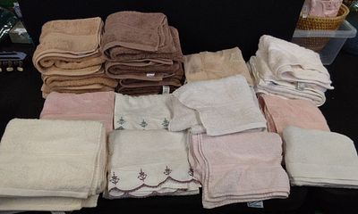 23 Mixed Hand Towels