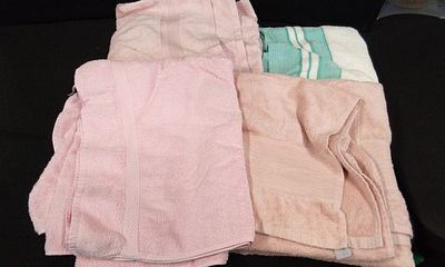 3 Bath Sheets and a Bath Towel