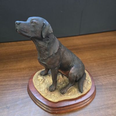 Border Fine Arts Chocolate Labrador Dog Figurine 1992. A single dark brown/black Labrador dog 