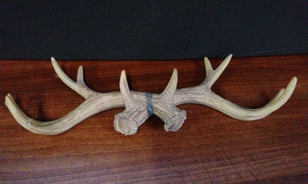 Lot 507: Rustic Composite Decorative Antler Wall Plaque